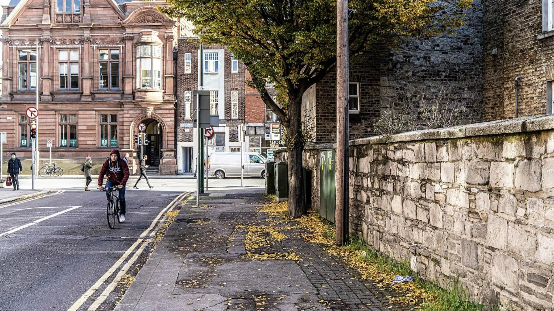 Cosy 1Bd In Refurbed Victorian House Heart Of D6 Lägenhet Dublin